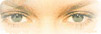 eye3.jpg (6966 bytes)